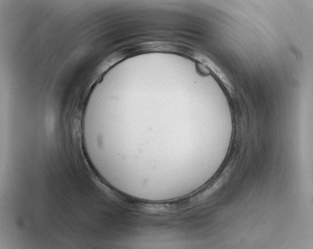 X0000116641049201001041027