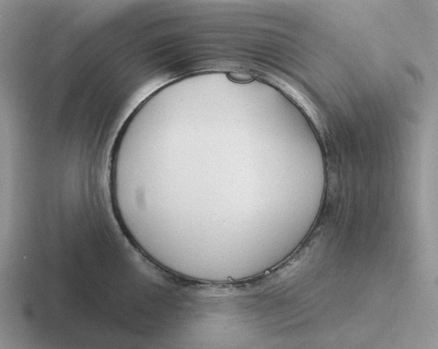 X0000116641050201001041027