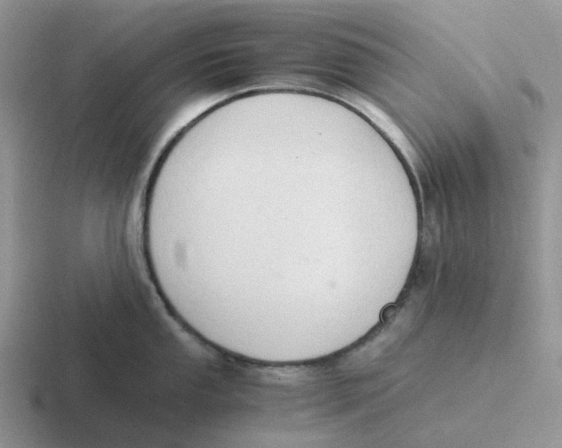 X0000116641053201001041027