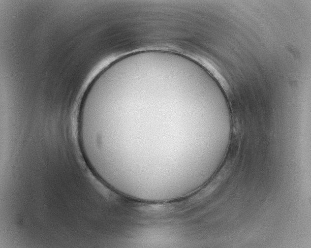 X0000116641054201001041027