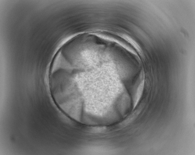 X0000116641055201001041027