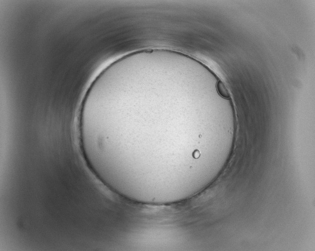 X0000116641056201001041027