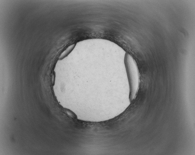 X0000116641057201001041026