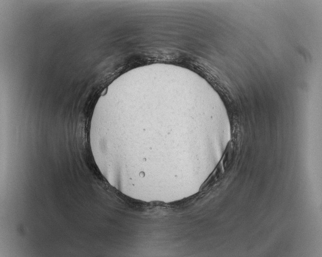 X0000116641058201001041026