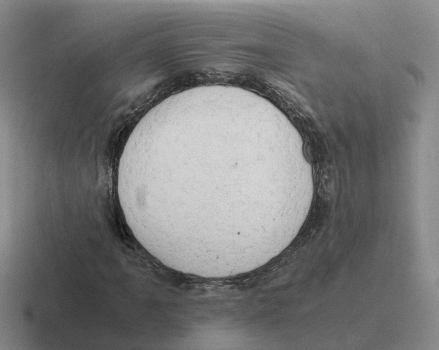 X0000116641061201001041026