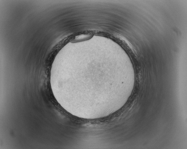 X0000116641064201001041026