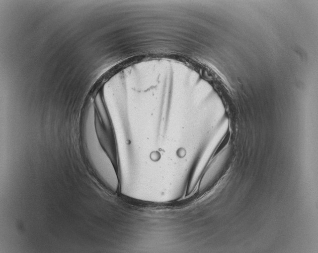 X0000116641065201001041026