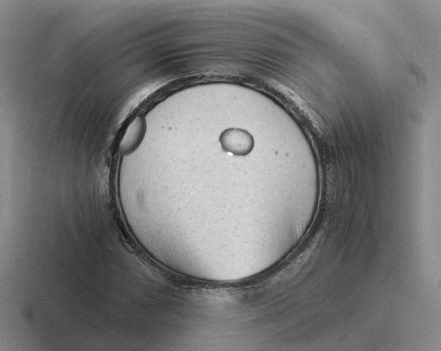 X0000116641066201001041026