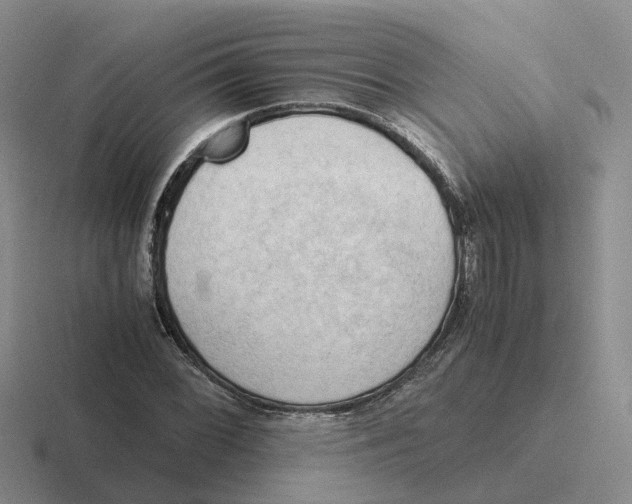 X0000116641068201001041026