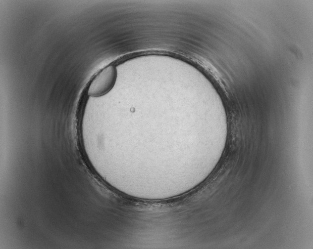 X0000116641072201001041026