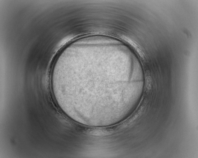 X0000116641074201001041026