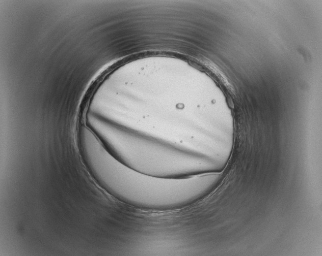 X0000116641076201001041026