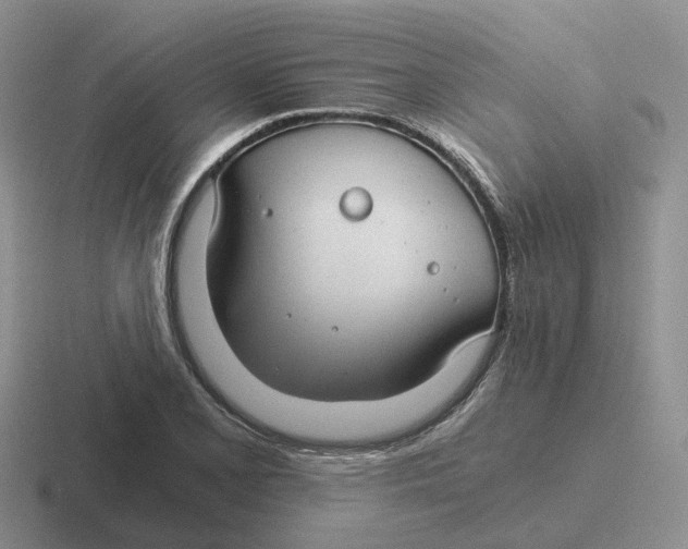 X0000116641077201001041026