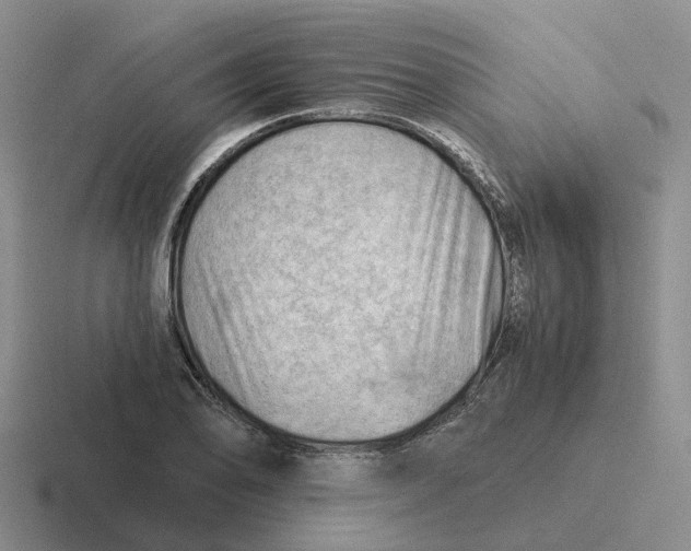 X0000116641078201001041026