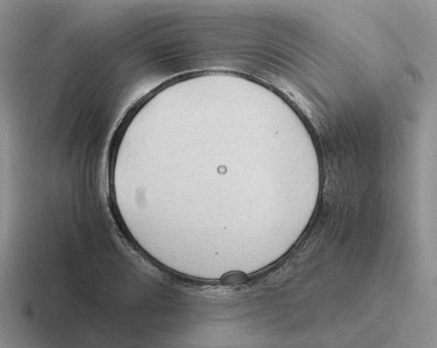 X0000116641080201001041026