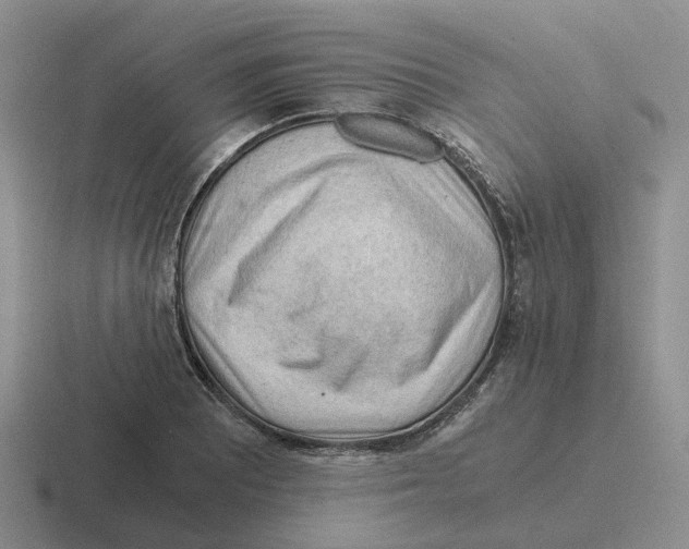 X0000116641081201001041026