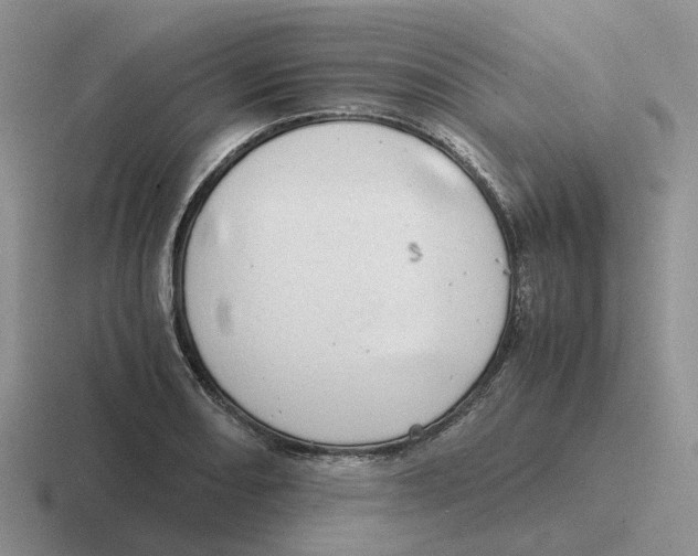 X0000116641082201001041026