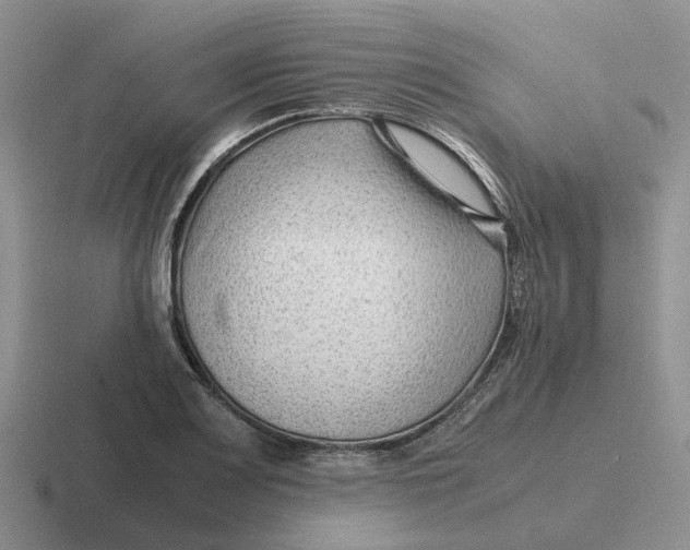 X0000116641083201001041026