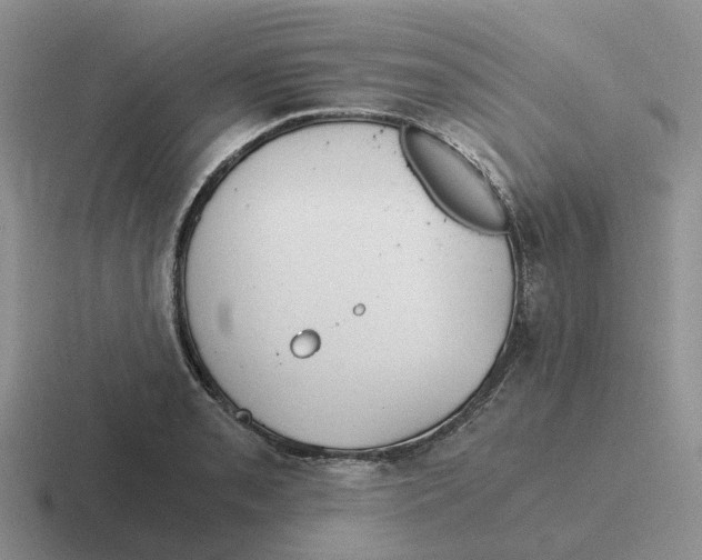 X0000116641085201001041026