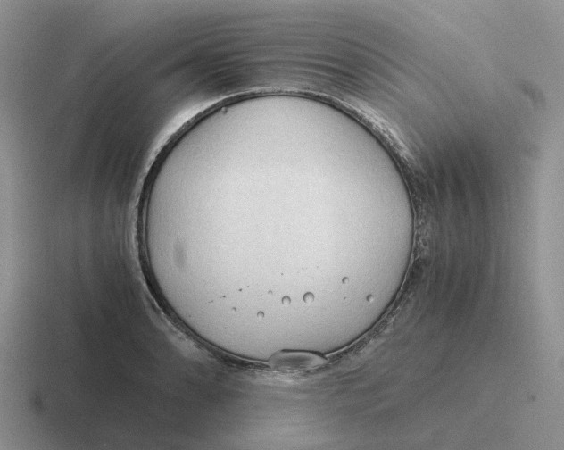 X0000116641086201001041026