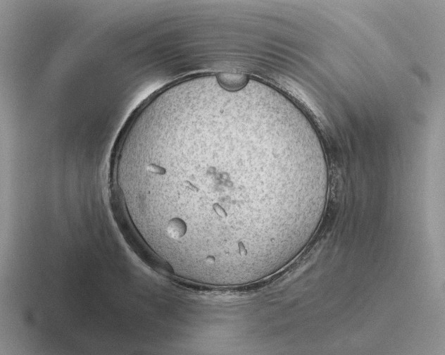 X0000116641087201001041026