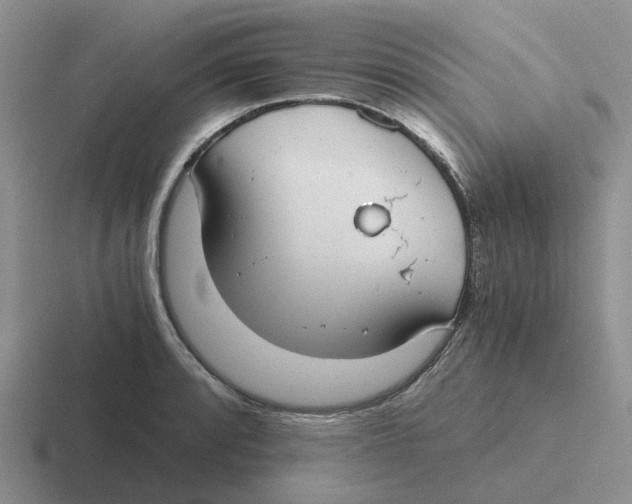 X0000116641088201001041026