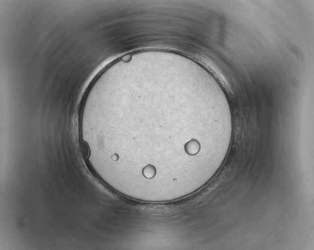 X0000116641092201001041026