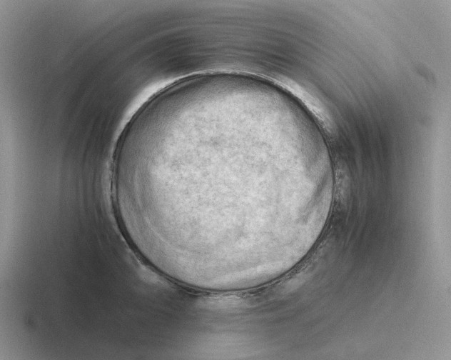 X0000116641094201001041026