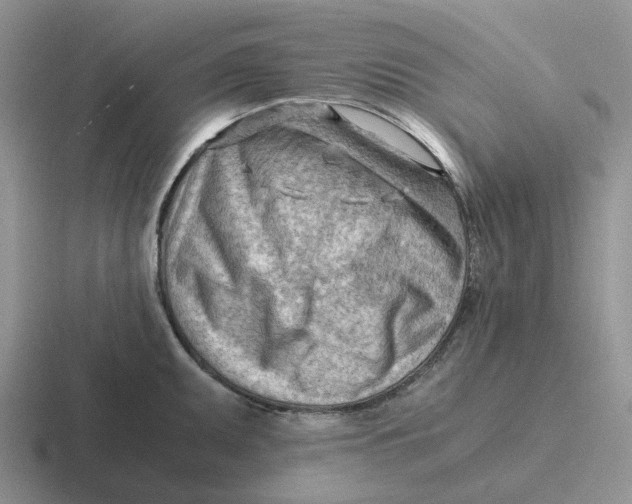 X0000116641095201001041026