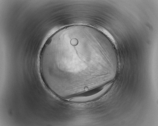 X0000116641096201001041026