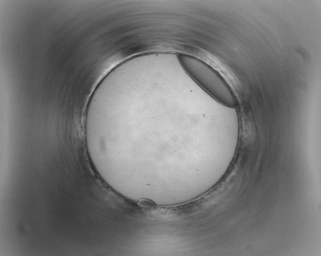 X0000116641097201001041026