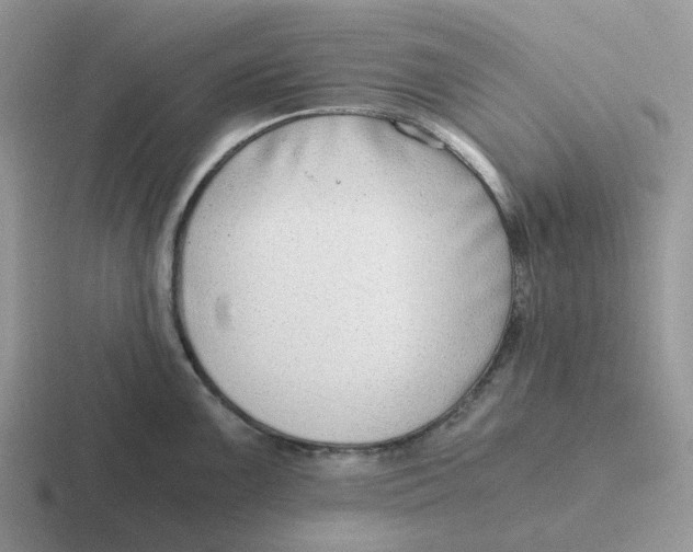 X0000116641099201001041026