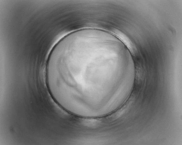 X0000116641100201001041026