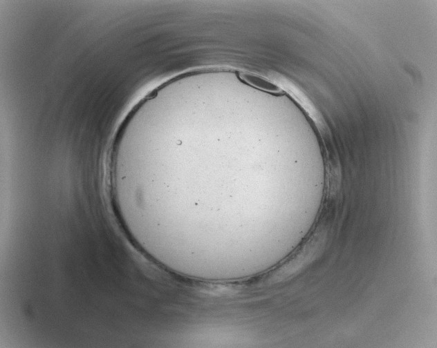 X0000116641101201001041026