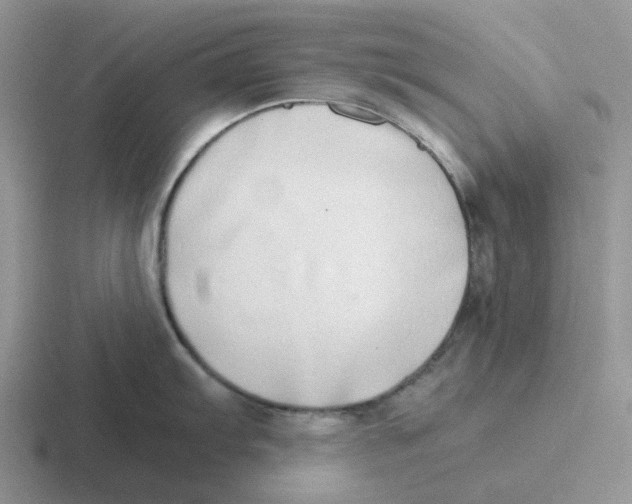 X0000116641103201001041026