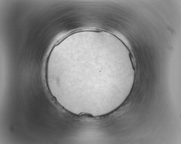 X0000116641104201001041026