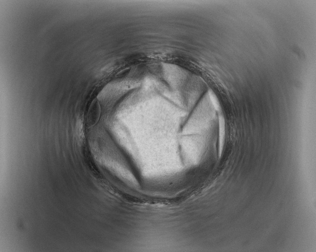 X0000116641106201001041025