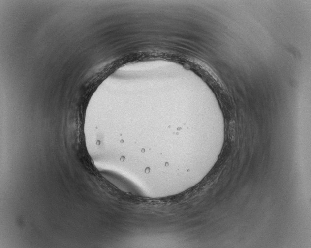 X0000116641111201001041025