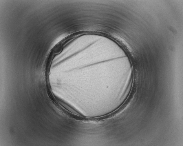 X0000116641114201001041025