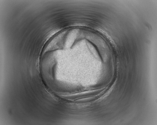 X0000116641121201001041025