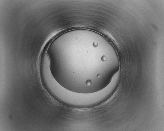 X0000116641122201001041025