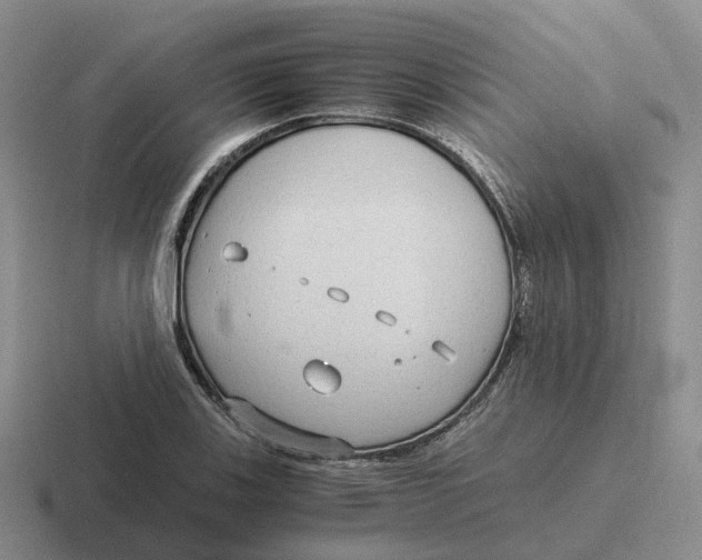 X0000116641123201001041025