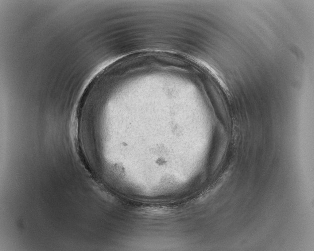 X0000116641125201001041025