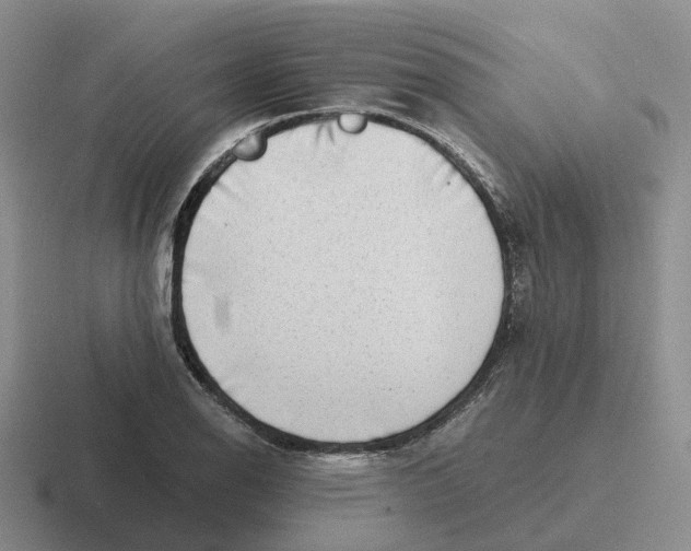 X0000116641126201001041025