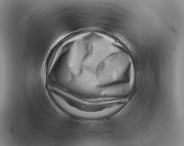 X0000116641127201001041026