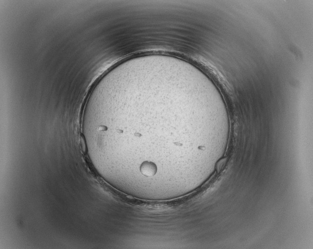 X0000116641129201001041026