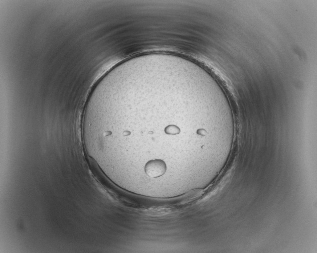 X0000116641137201001041026