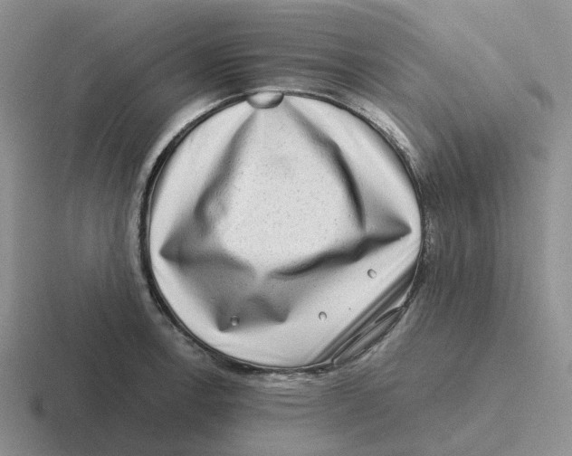 X0000116641138201001041026