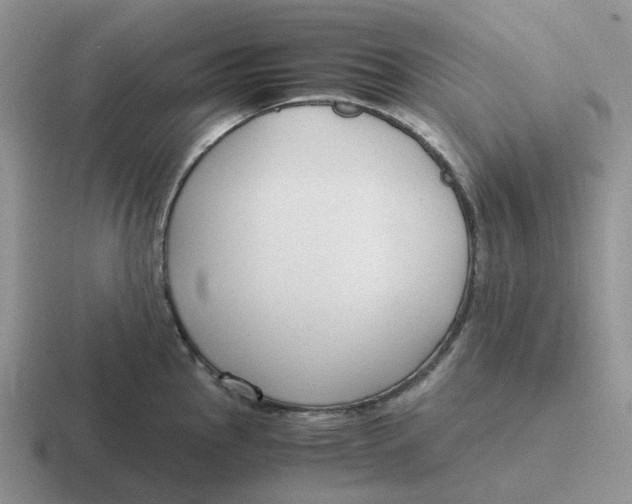 X0000116641145201001041026