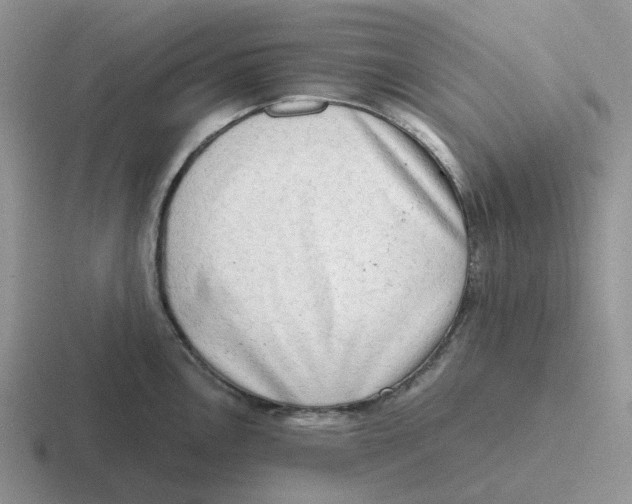 X0000116641146201001041026